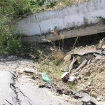 Σάνη Χαλκιδικής